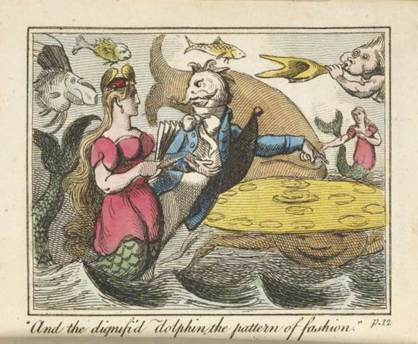 Illustration of fish