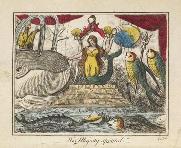 Illustration of fish